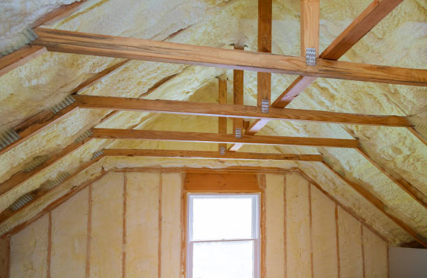 Best Residential Insulation in Vienna, GA