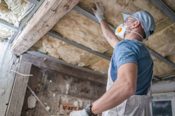  Vienna, GA Insulation Contractor Pros