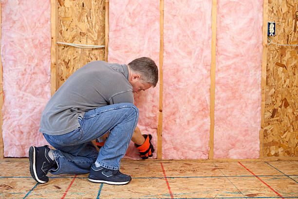 Best Types of Insulation in Vienna, GA
